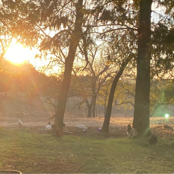 Meet your Posher, Janeth - Picture 4 of 4